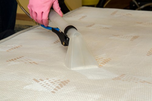 Reasons To Choose Professional Expert Services For Upholstery Cleaning
