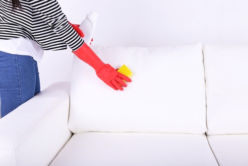 Sofa cleaning - What You Need To Know