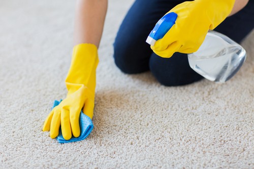 What Causes Smelly Carpet & How To Remove Them?