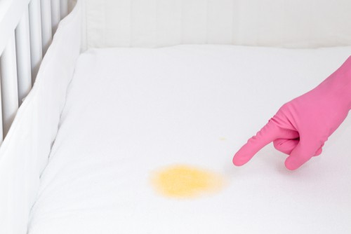 Cleaning mattress urine odor