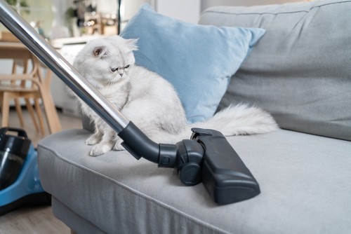 Best 3 Sofa Upholstery Cleaning Services in Singapore 2023