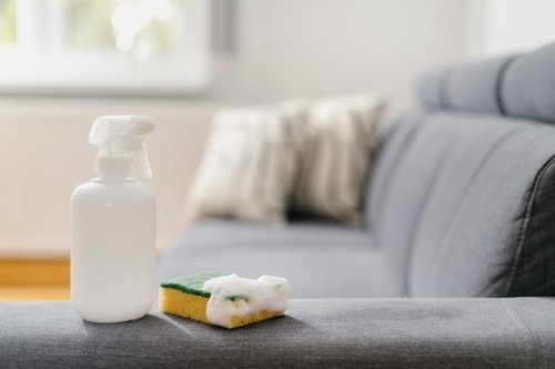 Eco-Friendly Upholstery Cleaning: Cleaning Without Harming the Planet