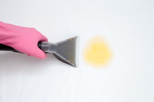 cleaning upholstery stains