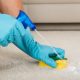 How To Deal With Common Carpet Stains