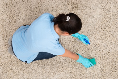 Professional common carpet stain cleaning service