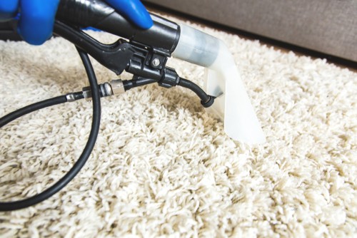 Importance of professional carpet cleaning