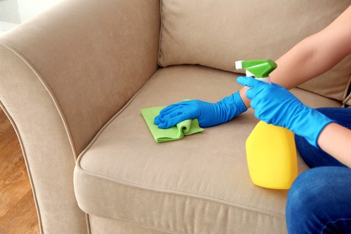 Young woman cleaning the Sofa