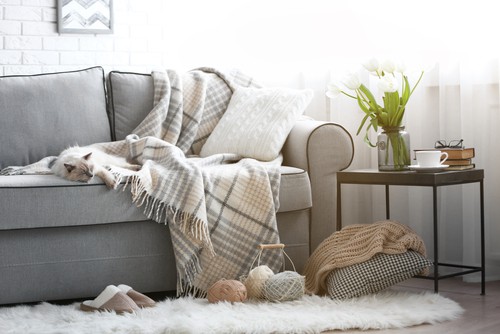 The Importance of Keeping Your Sofa Clean
