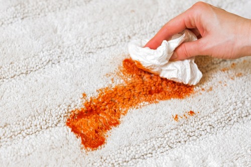 Carpet Cleaning Strategies for Deep Stubborn Stains